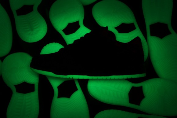 Premier x Nike SB Dunk Low 'Northern Lights'4