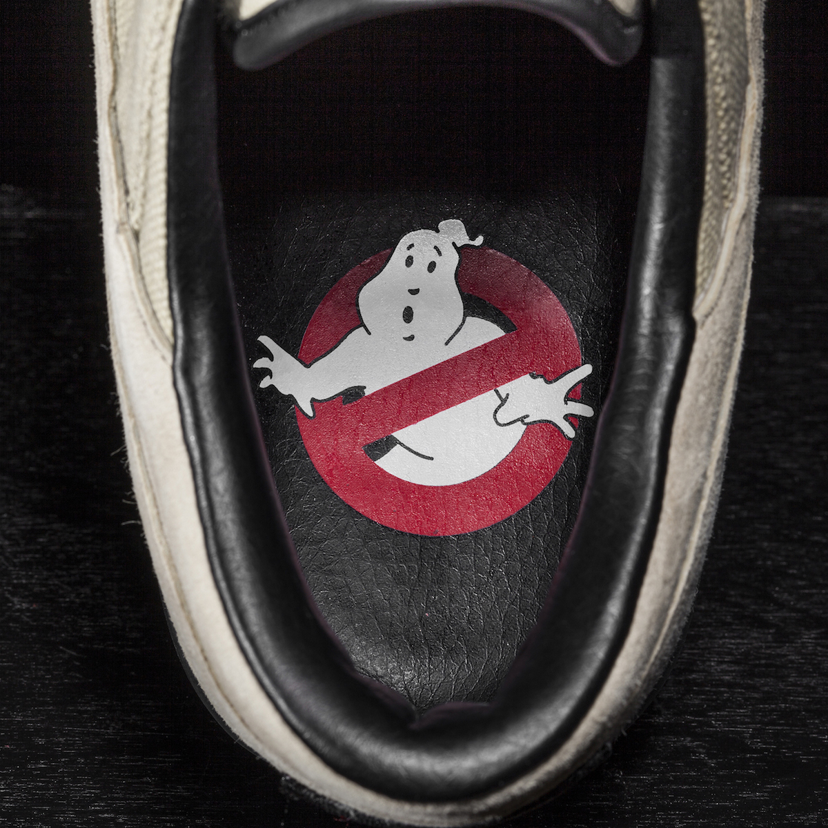 nas x ghostbusters 13