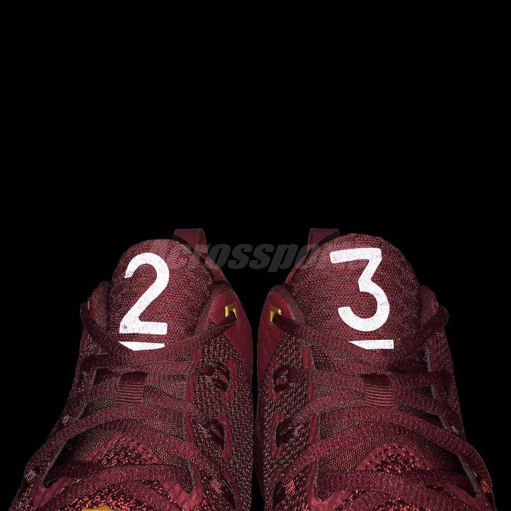 Nike Lebron Ambassador 9 - Team red - Tongue