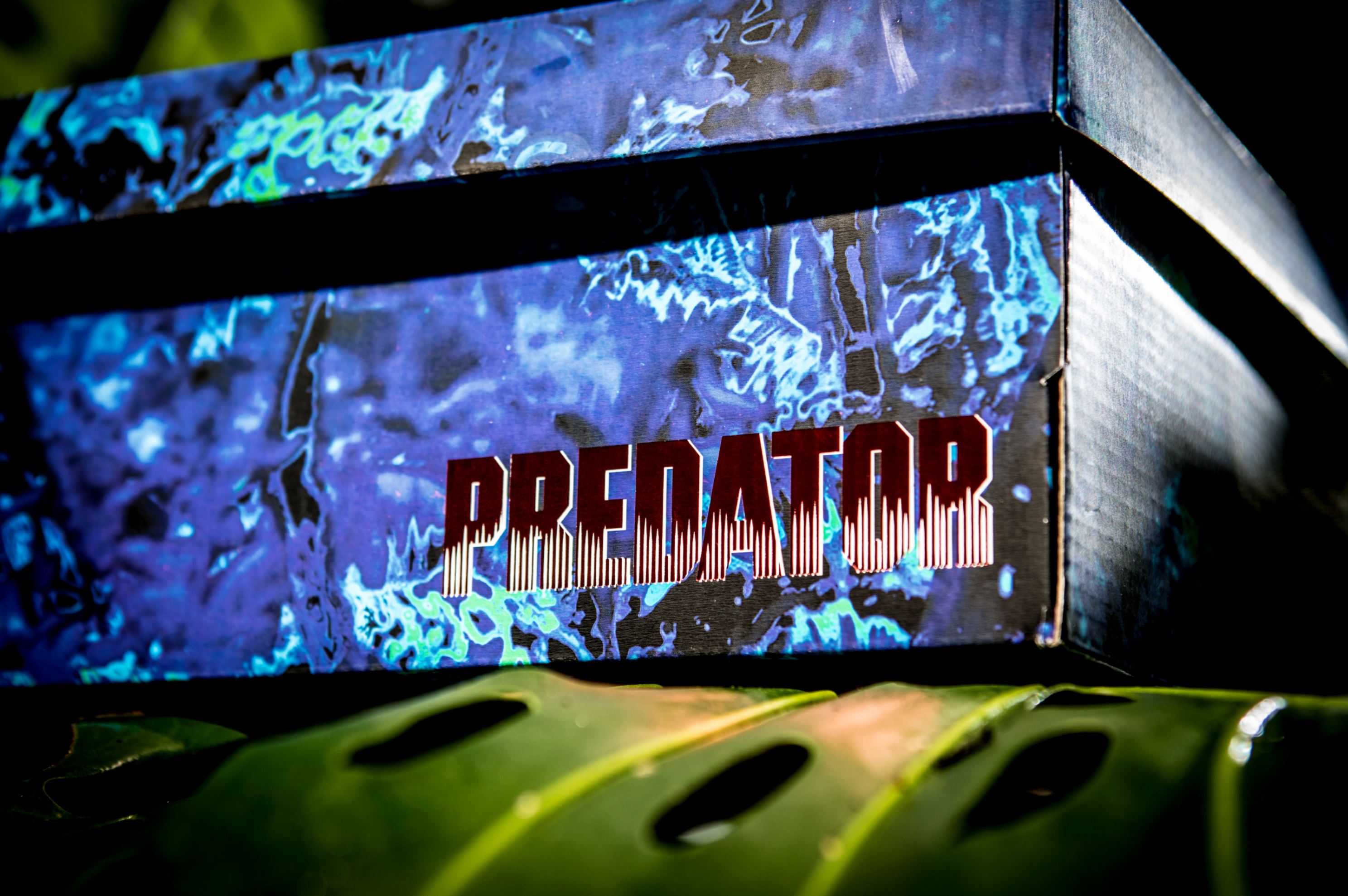 reebok dmx run 10 predator box