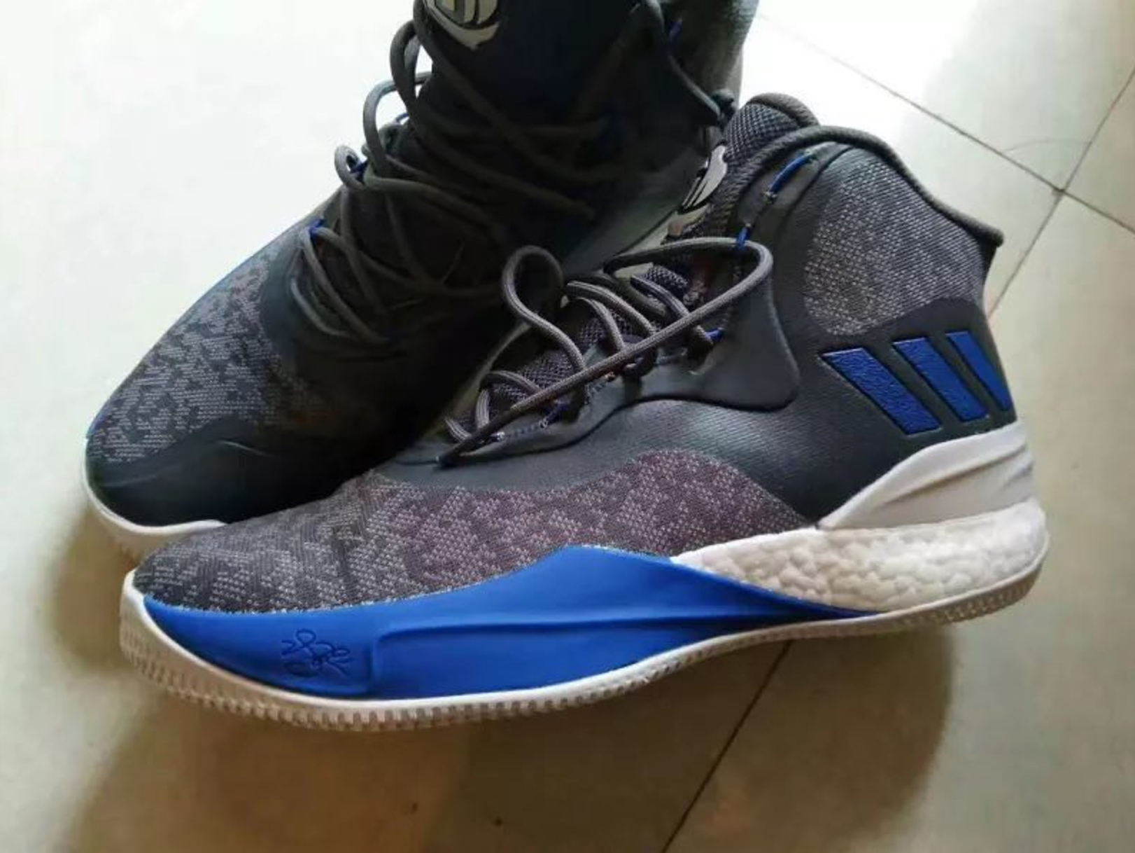 possible adidas d rose 8