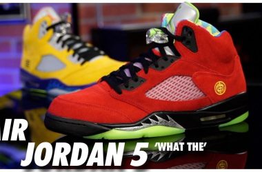 Air Jordan 5 What The