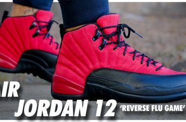 Air Jordan 12 Reverse Flu Game