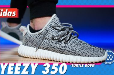 adidas Yeezy 350 Turtle Dove 2022