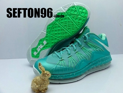 lebron 10 low for sale