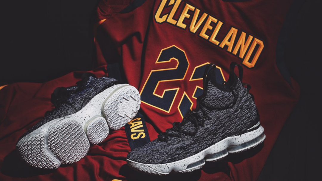 lebron ashes 15